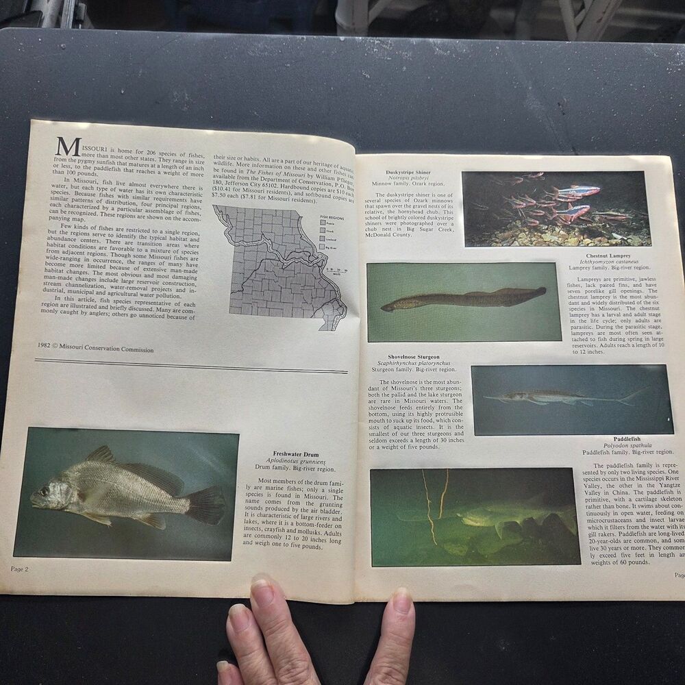 Vintage Missouri Ozark Waterways Fishing Books Fish Guide Conservation Lot - Picture 8 of 9